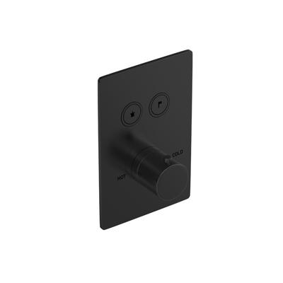 Douchethermostaat Hotbath Cobber Inbouw 2 Pushbuttons Vierkant Geborsteld Zwart PVD (excl. inbouwdeel)