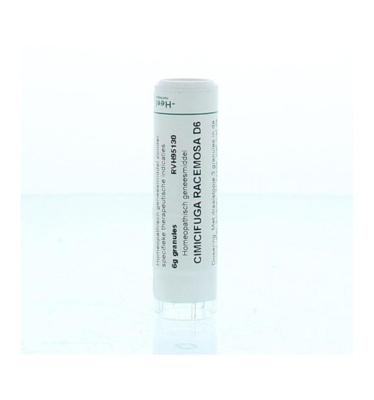 Homeoden Heel Cimicifuga racemosa D6 6 Gram Homeoden Heel Cimicifuga racemosa D6 6 Gram