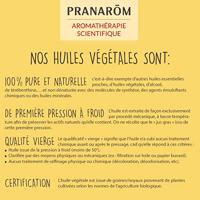 Pranarôm Plantaardige Olie Sint-Janskruid Bio 50ml - thumbnail