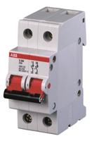 ABB 2CDE282001R0025 E202/25R Lastscheider 2-polig - thumbnail