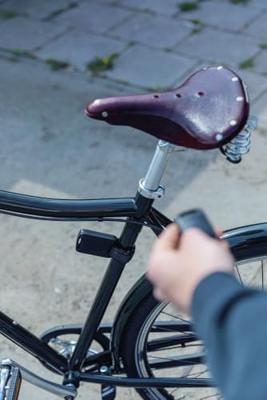 Abus Alarmbox rc