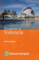 Wandelen in Valencia - Nienke Ledegang - ebook - thumbnail