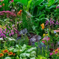 Alexsar Art Tuinschilderij bloementuin 70x70cm - thumbnail