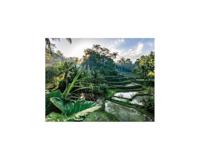 Mova S5 Sense - Sladdlös stickdammsugare - OptiInsight Multi-Surface Borste med trasselfri design - Smart justering - thumbnail