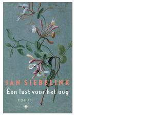 Een lust voor het oog - Jan Siebelink - ebook