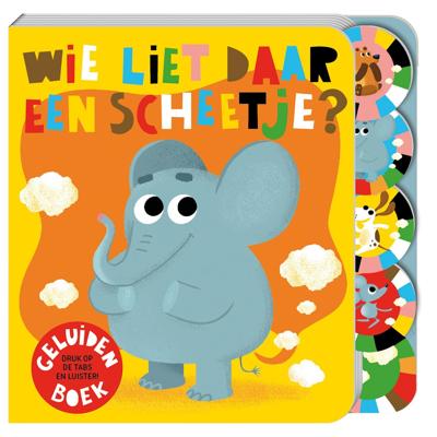 Wie liet daar een scheetje? (Hardback)