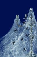 Decoratie spinnenweb met 6 spinnen - thumbnail