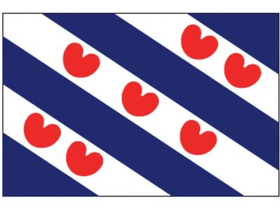 Dokkumer Vlaggen Centrale Vlag friesland 100x150 cm