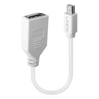 LINDY 41021 DisplayPort / Mini-displayport Adapterkabel [1x DisplayPort bus - 1x Mini-DisplayPort stekker] Wit 15.00 cm - thumbnail