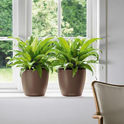 Bloempot Lechuza Grijs Polypropyleen Cirkelvormig