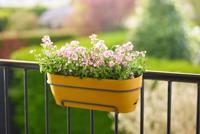 Elho Vibia campaba all-in-1 trough 50 honey yellow - thumbnail