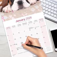 Boxer Puppies Kalender 2026 - thumbnail