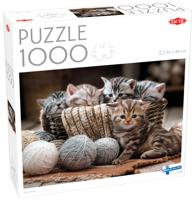 Tactic Puzzel Animals: Kittens puzzel 1000 stukjes - thumbnail