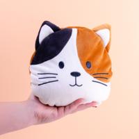 Kat pittenkussen - thumbnail