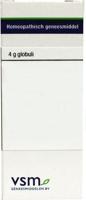VSM Natrium muriaticum LM4 (4 gr) - thumbnail