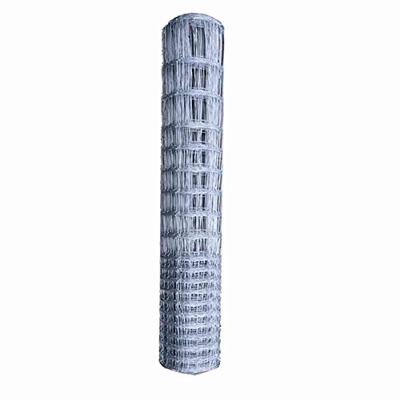 Siena 363753 Wildrooster Draad 50 m