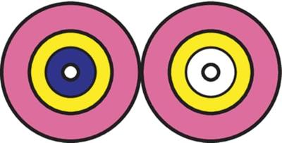 Metz Connect 151S1JOJO20E Glasvezel Optische vezel Aansluitkabel 2.00 m Violet [2x LC-stekker - 2x LC-stekker] 50/125 µ Multimode OM4