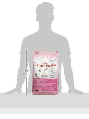 Royal Canin Mother & Babycat kattenvoer 4 kg - thumbnail