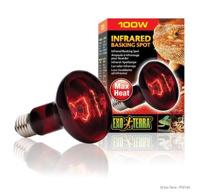 EXO TERRA Infraroodlamp Baskin Spot - 100 W - Voor terrarium