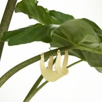 Plant Animal - Luiaard - thumbnail