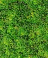 Noordwand Textura Behang mosmuur - 1545733 - thumbnail