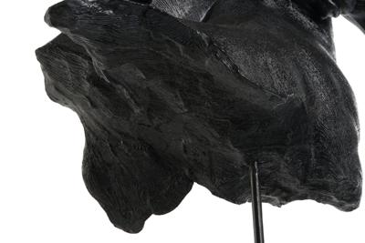 Decoratieve figuren Home ESPRIT Hars Paarden 41,5 x 21,5 x 47 cm