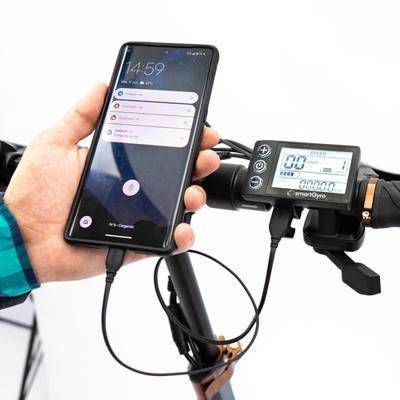 Elektrische Step Smartgyro Zwart 800 W Elektrische Step Smartgyro Zwart 800 W