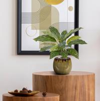 Aglaonema 40cm kunstplant RT - thumbnail
