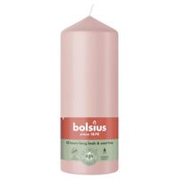 Bolsius stompkaars 150/58 nevelig roze - thumbnail