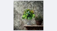 Decoratieve plant Fluitglas Plastic 25 x 36 x 25 cm (4 Stuks) - thumbnail