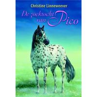 Uitgeverij Kluitman Gouden paarden: de zoektocht van pico - thumbnail