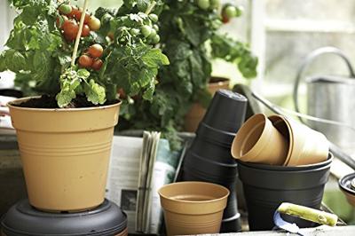 Elho green basics kweekpot 40 cm blad groen - thumbnail