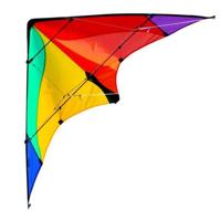 Elliot tweelijnsstuntskite Delta Basic Rainbow 117 cm - thumbnail