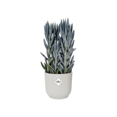 Elho Bloempot Vibes Fold Zijdewit met wielen Ø35cm