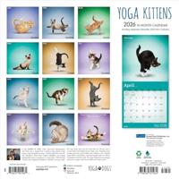 Yoga Kittens Kalender 2026 - thumbnail