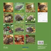Egel Kalender 2026 - thumbnail