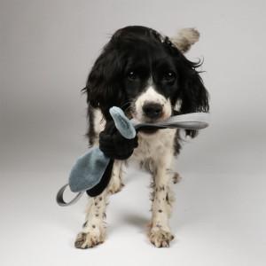 Speeltouw Jule met kraakfolie hondenspeelgoed Per stuk Speeltouw Jule met kraakfolie hondenspeelgoed Per stuk