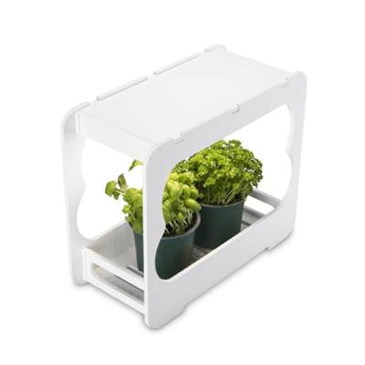 Xavax Kweekbak met LED Plantenlamp Wit