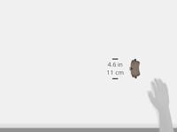 Remblokken set P50046 - thumbnail