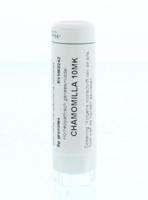 Homeoden Heel Chamomilla 10MK 6 Gram - thumbnail
