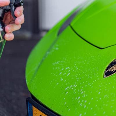 Bug Remover
