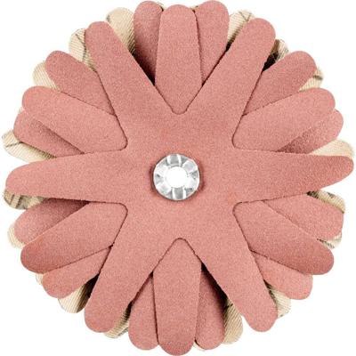 PFERD TOOLS 42732150 Schuursterren Diameter 90 mm 10 stuk(s)