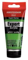 Royal Talens Amsterdam Expert Series Acrylverf Tube 75 ml - Permanentgroen Licht 618 - thumbnail