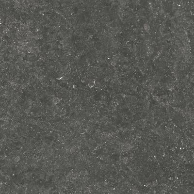 Ceramaxx Pietra Belgio Hardsteenlook 60x60x3 cm 5411170301203 Ceramaxx