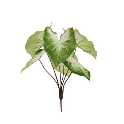 Caladium Aron Kunstplant 45cm