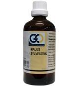 GO Malus sylvestris bio 100 Milliliter - thumbnail