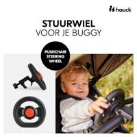 Stuur Hauck - thumbnail