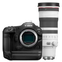 Canon EOS R3 + RF 100-300mm F/2.8L IS USM - thumbnail