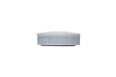 MAUL magneet Solid, 24 mm, trekkracht 600 gr, doos van 10 stuks, grijs MAUL magneet Solid, 24 mm, trekkracht 600 gr, doos van 10 stuks, grijs