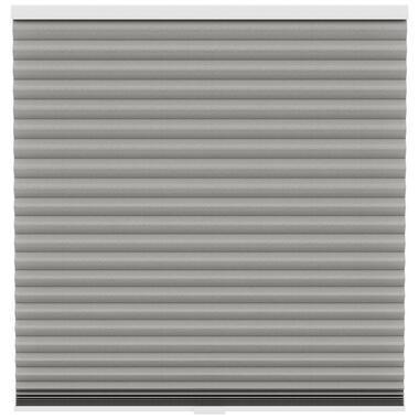 Fenstr plisségordijn Singapore dubbel 45mm lichtdoorlatend - taupe (30025)